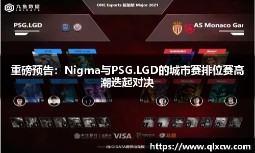 球速体育平台登录入口