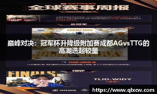 球速体育平台登录入口