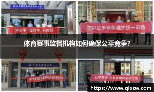 球速体育平台登录入口